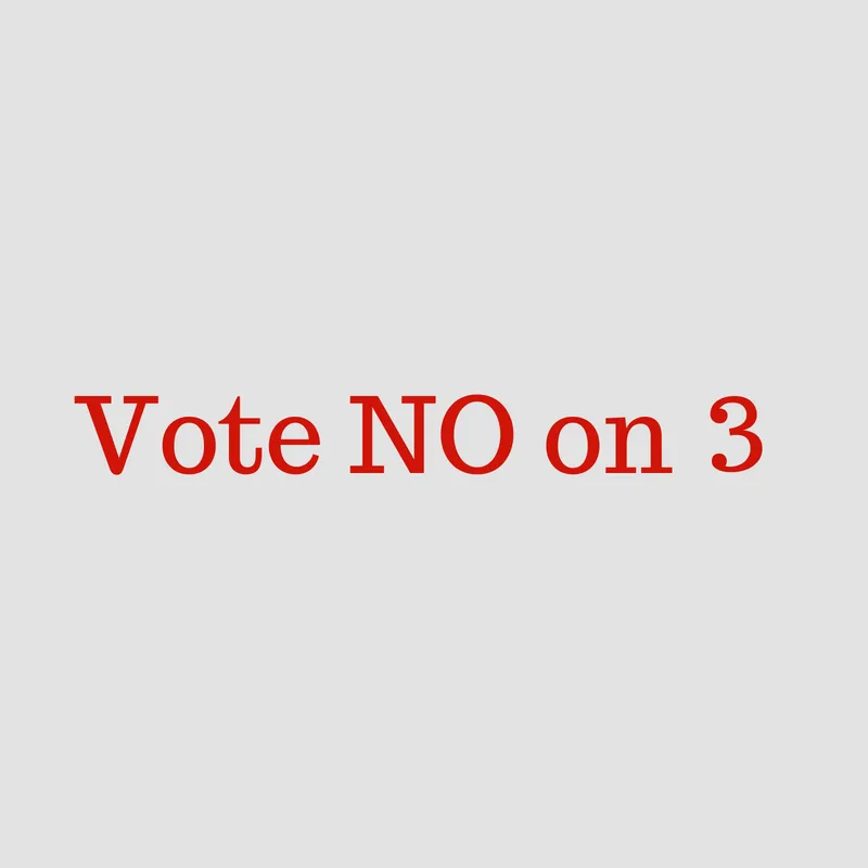 vote_no_on_3.png
